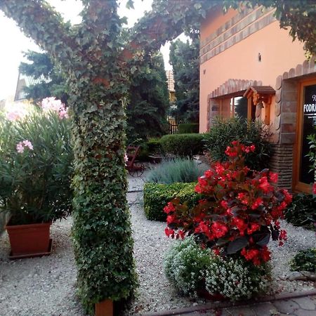 Chloe Apartman Szigetvár Εξωτερικό φωτογραφία